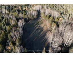 Pcl 5199 Nungessor Road, Red Lake, ON P0V1C0 Photo 8