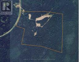 Pcl 5199 Nungessor Road, Red Lake, ON P0V1C0 Photo 11