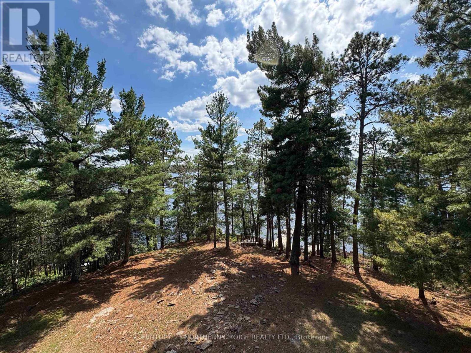 283 JAPADA TRAIL - Image 11