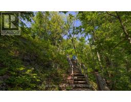 959 Harrison Trail, Georgian Bay, ON P0C1H0 Photo 10