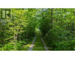 959 Harrison Trail, Georgian Bay, ON P0C1H0 Photo 9