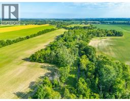 575 Talbot Road East, Leamington, ON N8H3V6 Photo 36