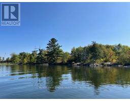 G 734 Rainy Lake, Rainy River Remote Area, ON P9A3M3 Photo 24