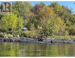 G 734 Rainy Lake, Rainy River Remote Area, ON P9A3M3 Photo 10