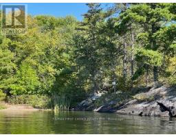 G 734 Rainy Lake, Rainy River Remote Area, ON P9A3M3 Photo 22