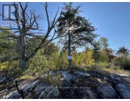 G 734 Rainy Lake, Rainy River Remote Area, ON P9A3M3 Photo 30