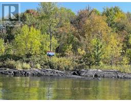 G 734 Rainy Lake, Rainy River Remote Area, ON P9A3M3 Photo 23