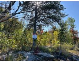 G 734 Rainy Lake, Rainy River Remote Area, ON P9A3M3 Photo 27