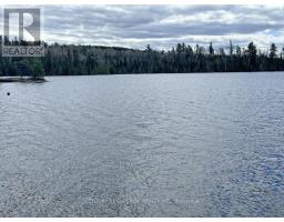 406 Hwy 11 623, Atikokan, ON P0T1C0 Photo 46