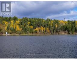 Lot 7,13,14,15,16 Pipestone Peninsula, Sioux Narrows Nestor Falls, ON P0X0A4 Photo 9