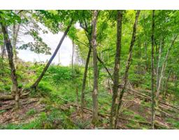 8 Rue Tex-lecor, Cantley, QC J8V0C4 Photo 10
