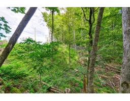 8 Rue Tex-lecor, Cantley, QC J8V0C4 Photo 11