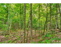 8 Rue Tex-lecor, Cantley, QC J8V0C4 Photo 12