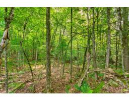 8 Rue Tex-lecor, Cantley, QC J8V0C4 Photo 13