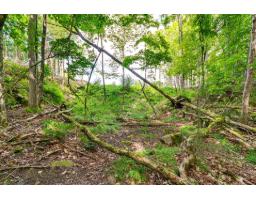 8 Rue Tex-lecor, Cantley, QC J8V0C4 Photo 14