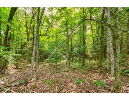 8 Rue Tex-lecor, Cantley, QC J8V0C4 Photo 15