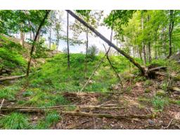 8 Rue Tex-lecor, Cantley, QC J8V0C4 Photo 16