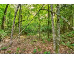 8 Rue Tex-lecor, Cantley, QC J8V0C4 Photo 18