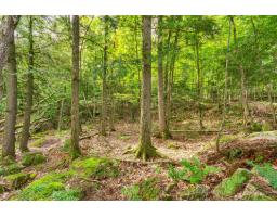 8 Rue Tex-lecor, Cantley, QC J8V0C4 Photo 9