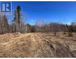 66 Hwy 105, Red Lake, ON P0V2M0 Photo 7