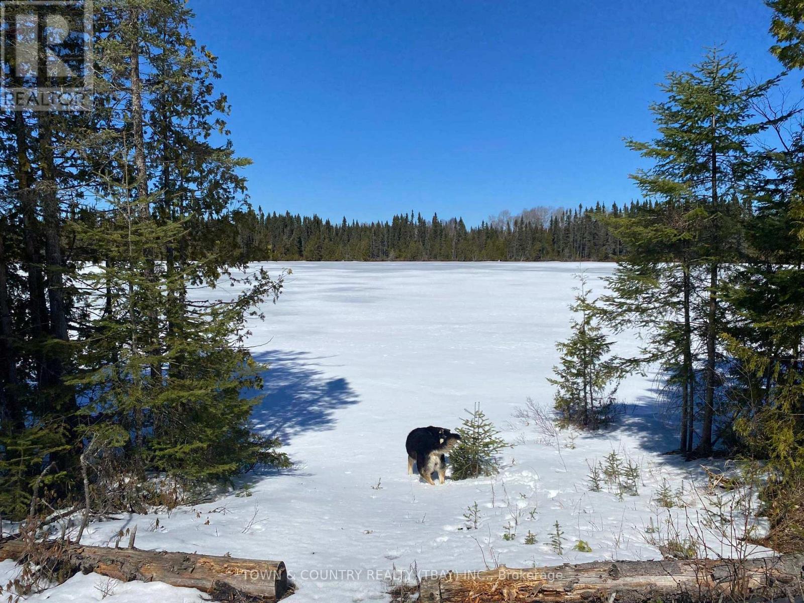 Parcel 11 Con 6, Thunder Bay Remote Area (Marks), Ontario, P0T2K0, Thunder Bay Remote Area (Marks), Ontario — photo 2 of 3