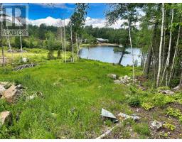6 Bergman Road, Rainy River Remote Area, ON P0T1C0 Photo 22