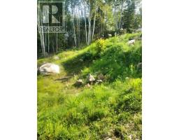 6 Bergman Road, Rainy River Remote Area, ON P0T1C0 Photo 35
