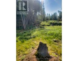 6 Bergman Road, Rainy River Remote Area, ON P0T1C0 Photo 33