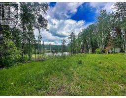 6 Bergman Road, Rainy River Remote Area, ON P0T1C0 Photo 17