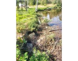 6 Bergman Road, Rainy River Remote Area, ON P0T1C0 Photo 42