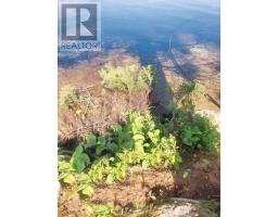 6 Bergman Road, Rainy River Remote Area, ON P0T1C0 Photo 40