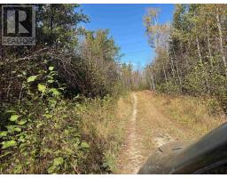 Parcel 26057, Rainy River Remote Area, ON P0W1H0 Photo 15