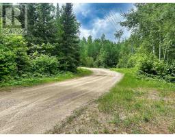 6 Bergman Road, Rainy River Remote Area, ON P0T1C0 Photo 48