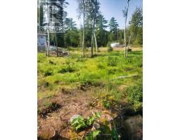 6 Bergman Road, Rainy River Remote Area, ON P0T1C0 Photo 31