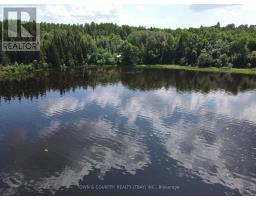 Parcel 26057, Rainy River Remote Area, ON P0W1H0 Photo 11