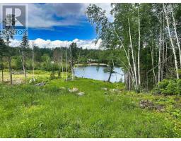 6 Bergman Road, Rainy River Remote Area, ON P0T1C0 Photo 20