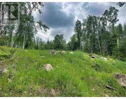 6 Bergman Road, Rainy River Remote Area, ON P0T1C0 Photo 25