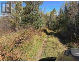 Parcel 26057, Rainy River Remote Area, ON P0W1H0 Photo 14
