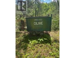 Parcel 26057, Rainy River Remote Area, ON P0W1H0 Photo 12