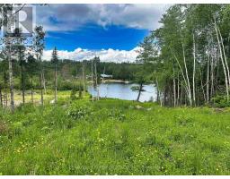 6 Bergman Road, Rainy River Remote Area, ON P0T1C0 Photo 14