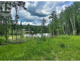 6 Bergman Road, Rainy River Remote Area, ON P0T1C0 Photo 16