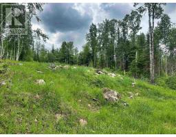 6 Bergman Road, Rainy River Remote Area, ON P0T1C0 Photo 27