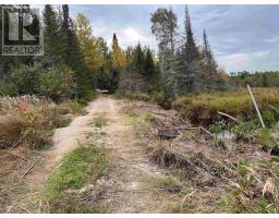 Parcel 26057, Rainy River Remote Area, ON P0W1H0 Photo 16