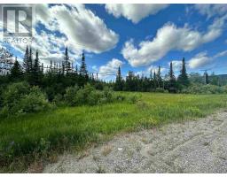 W 1/2 Lt 5 Cantley Drive Hwy 11-17, Red Rock, ON P0T2P0 Photo 15