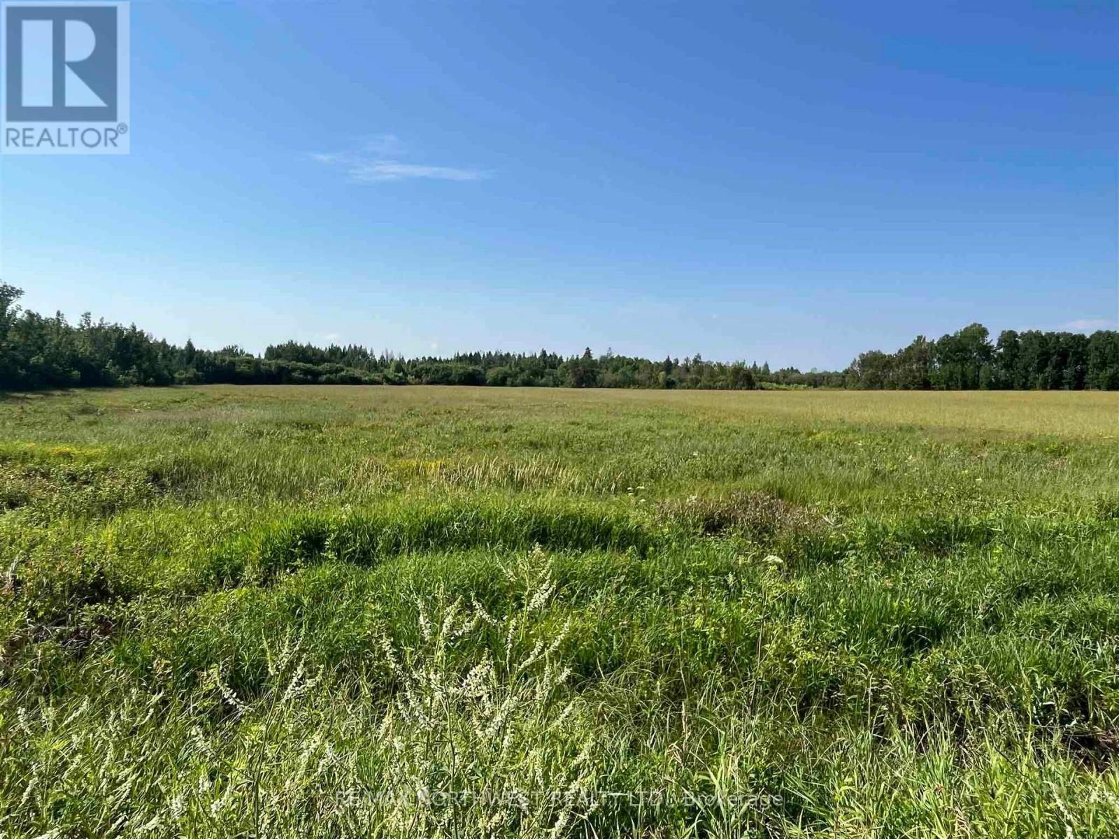 619 CAMERON ROAD - 39