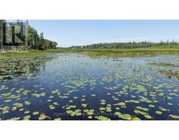 Pt 1 23r-14945 Snake Byway, Sioux Narrows Nestor Falls, ON P0X1N0 Photo 34