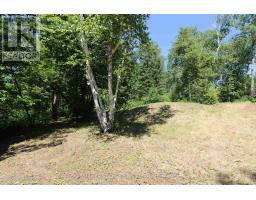 Pt 1 23r-14945 Snake Byway, Sioux Narrows Nestor Falls, ON P0X1N0 Photo 39