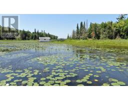 Pt 1 23r-14945 Snake Byway, Sioux Narrows Nestor Falls, ON P0X1N0 Photo 32