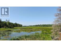 Pt 1 23r-14945 Snake Byway, Sioux Narrows Nestor Falls, ON P0X1N0 Photo 24