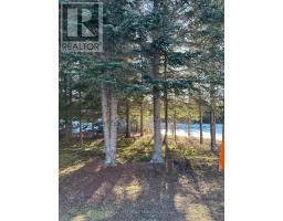 1 Bear Camp, Machin, ON P0V1S0 Photo 21